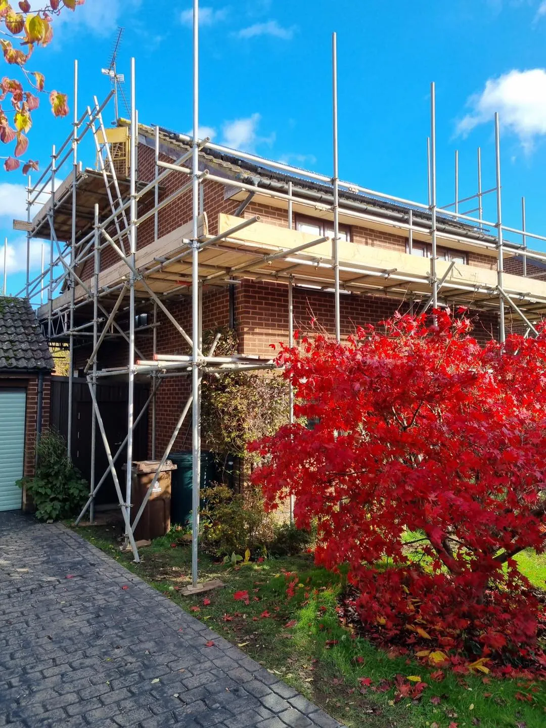 A house with red tree.